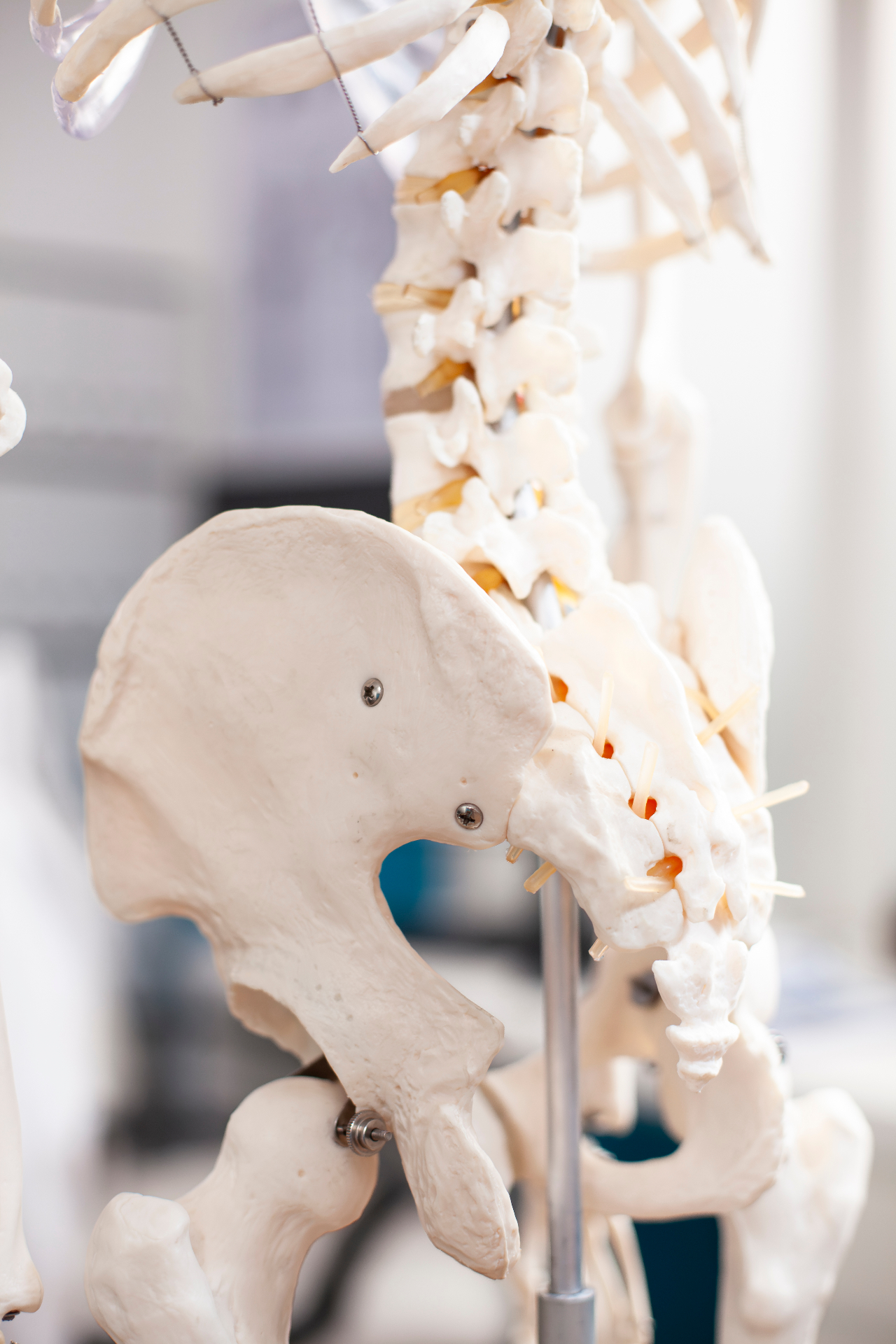 Osteometabólica